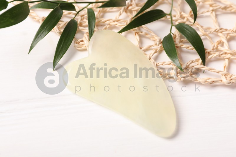 Photo of Jade gua sha tool and branches on white wooden table, closeup