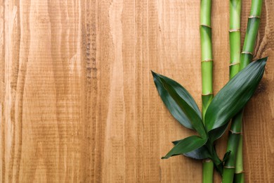 Bamboo stems and leaves on wooden table, flat lay. Space for text