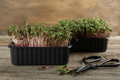 Fresh radish microgreens in plastic containers and scissors on wooden table