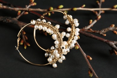 Branches with beautiful earrings on black background. Luxury jewelry