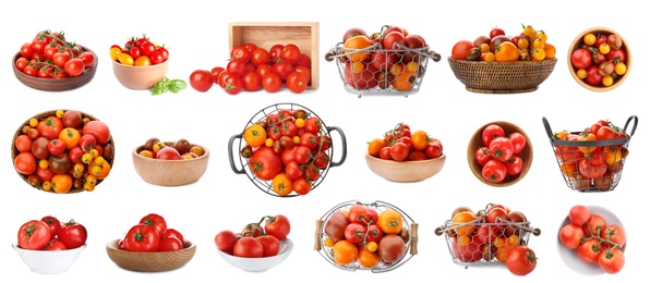Set of different ripe tomatoes on white background. Banner design 