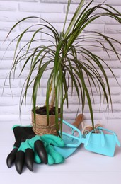 Gardening gloves, tools and green houseplant on white wooden table