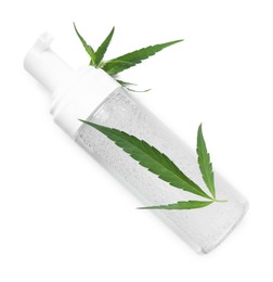 Bottle of hemp cosmetics with green leaves isolated on white, top view