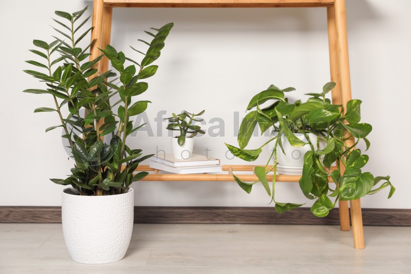 Photo of Wooden table and beautiful houseplants near light wall