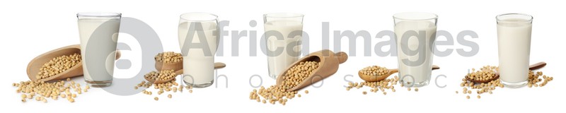 Set with natural soy milk and beans on white background. Banner design