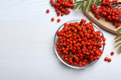 Fresh ripe rowan berries and leaves on white wooden table, flat lay. Space for text