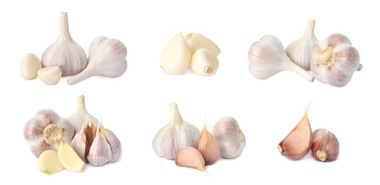 Set with garlic bulbs and cloves on white background