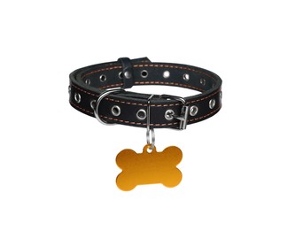 Photo of Black leather dog collar with bone shaped tag isolated on white