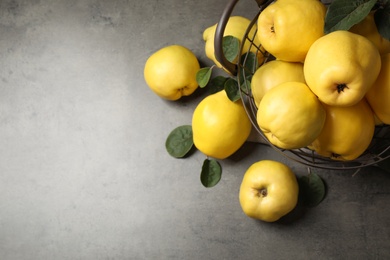 Fresh ripe organic quinces with leaves on grey table, flat lay. Space for text