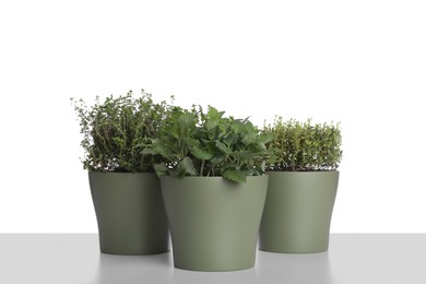 Pots with thyme and mint on white background