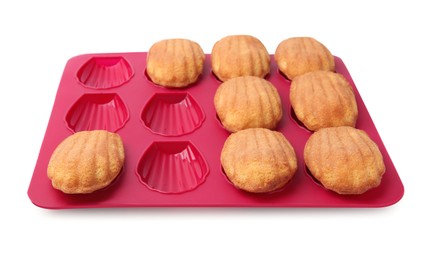 Photo of Many tasty madeleine cookies in baking mold isolated on white