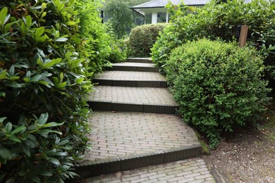 Photo of Lovely garden with green shrubbery and paved stairs. Landscape design