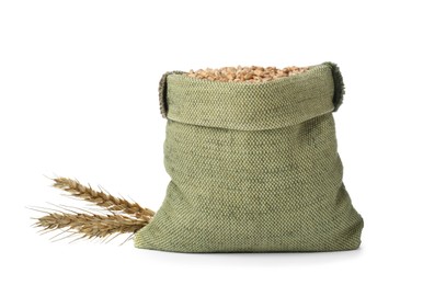 Sack with wheat grains and spikes on white background