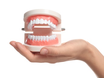 Woman holding educational model of oral cavity with teeth on white background