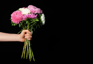 Closeup view of woman holding beautiful asters on black background, space for text. Autumn flowers