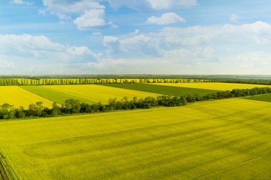 Beautiful aerial view of fields and blue sky