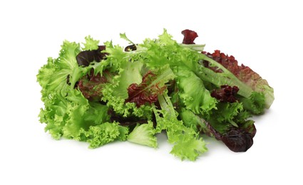 Leaves of different lettuces on white background