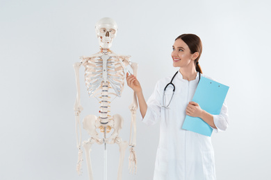 Female orthopedist with human skeleton model against light background