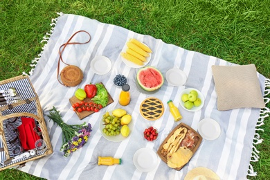 Picnic blanket with delicious snacks on grass in park