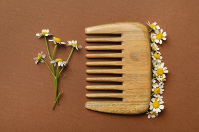 Wooden comb and beautiful chamomile flowers on brown background, flat lay 