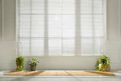 Photo of Rug and green houseplants near large window with blinds in spacious room. Interior design