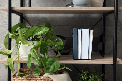 Shelving unit with beautiful house plants indoors. Home design idea