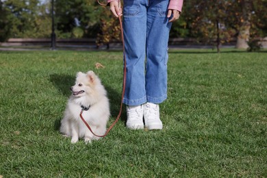 Little girl with her cute dog walking in park, closeup