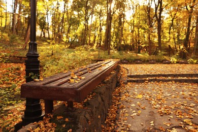Photo of Wooden bench and yellowed trees in park on sunny day