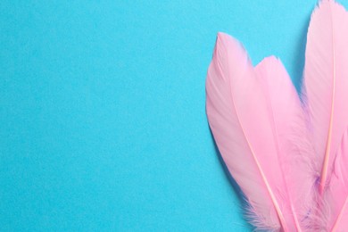 Beautiful pink feathers on light blue background, top view. Space for text