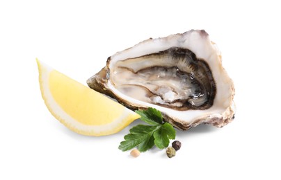 Fresh raw oysters served on white background