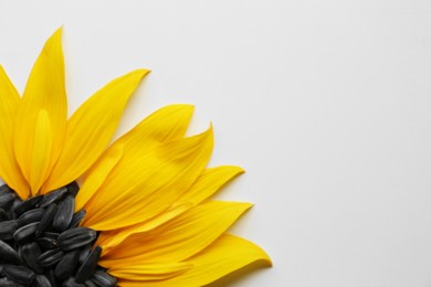 Photo of Flat lay composition with petals and sunflower seeds on white background. Space for text