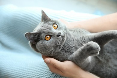Man with cute grey cat, closeup view