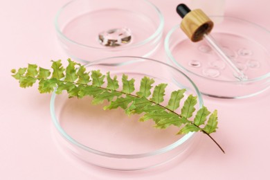 Photo of Petri dishes with fern leaf and cosmetic products on pink background, closeup