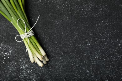 Bunch of fresh green onion on black table, top view. Space for text
