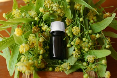 Bottle of essential oil and linden blossoms on wooden table, above view