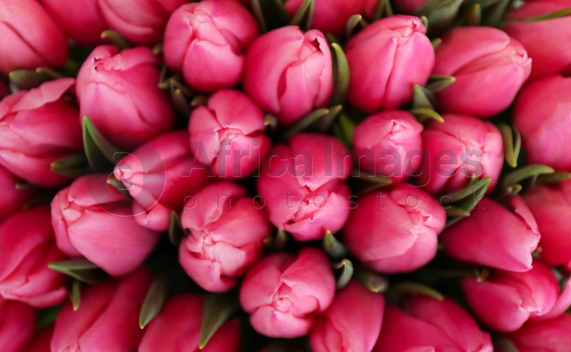 Fresh beautiful tulip flowers as background, top view