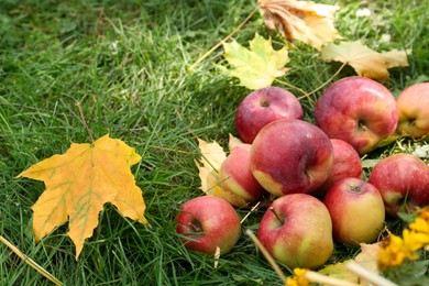 Delicious ripe red apples and maple leaves on green grass outdoors, space for text. Autumn harvest