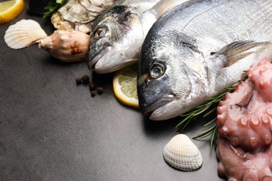 Photo of Fresh raw dorado fish and different seafood on grey table, closeup. Space for text