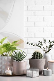 Photo of Beautiful Scindapsus, Aloe and Cactus in pots with decor on grey table against white brick wall, space for text. Different house plants