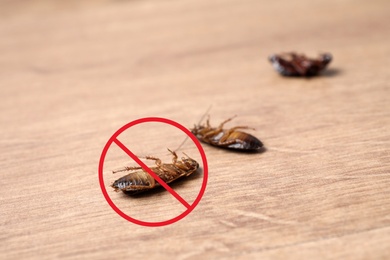 Dead cockroaches with red prohibition sign on wooden floor. Pest control