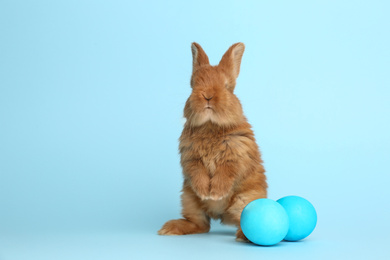 Adorable fluffy bunny near Easter eggs on light blue background