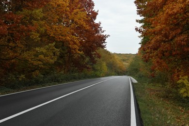 Beautiful forest near empty road. Autumn season