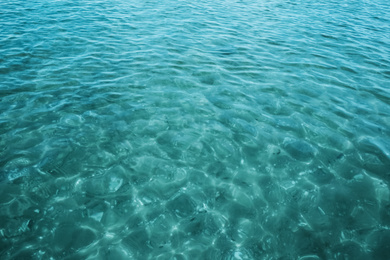 View of sea with pure water as background