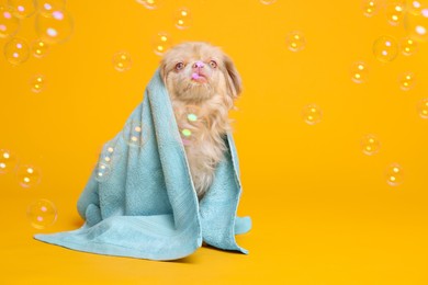 Photo of Cute Pekingese dog wrapped in towel and bubbles on orange background, space for text. Pet hygiene
