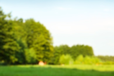 Photo of Blurred view of landscape with meadow and trees on sunny day