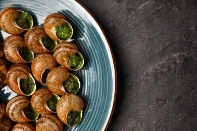 Delicious cooked snails served on grey table, top view. Space for text