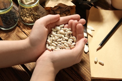 Woman holding pile of beans at wooden table, closeup. Vegetable seeds