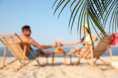 Photo of Couple resting on sunny beach at resort, focus on palm leaves