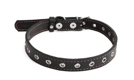 Black leather dog collar isolated on white