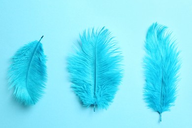 Beautiful delicate feathers on light blue background, flat lay